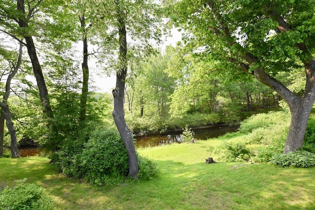 23 Middlebrook Dr, Arundel, ME 04046 - photo 39