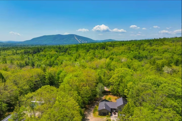 597 Sweden Rd, Bridgton, ME 04009 - view of mountain backdrop featuring a heavily wooded area