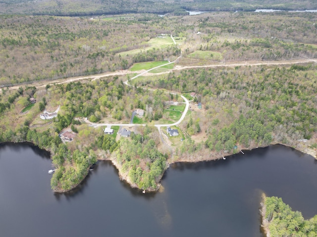 view of property location with a heavily wooded area and a nearby body of water