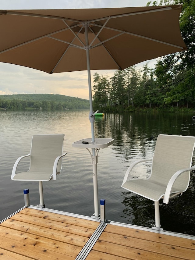 dock with a water view