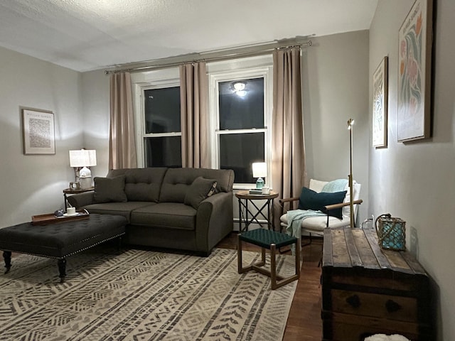 living area with wood finished floors