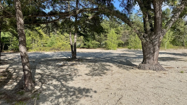 11 Oxford Rd, Windham, ME 04062 - view of street featuring a wooded view