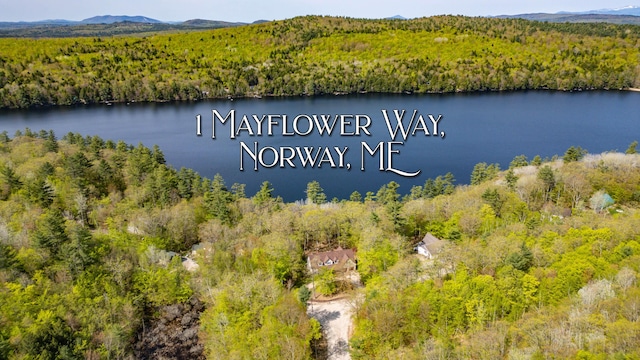 1 Mayflower Way, Norway, ME 04268 - water view with a heavily wooded area and mountains