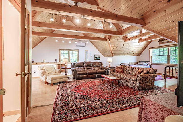 1 Mayflower Way, Norway, ME 04268 - living room featuring light wood-style floors, lofted ceiling, rail lighting, and wooden ceiling