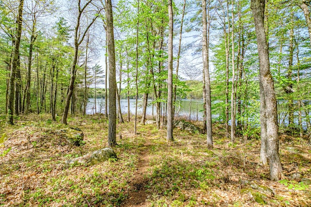 1 Mayflower Way, Norway, ME 04268 - water view
