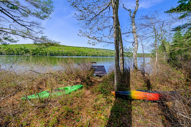 1 Mayflower Way, Norway, ME 04268 - water view with a forest and a boat dock