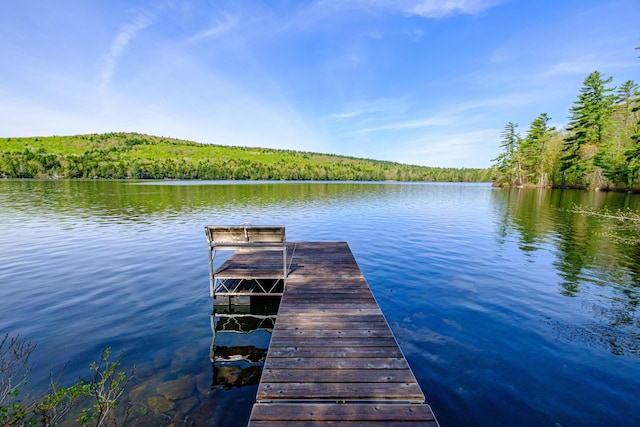 1 Mayflower Way, Norway, ME 04268 - dock featuring a view of trees and a water view