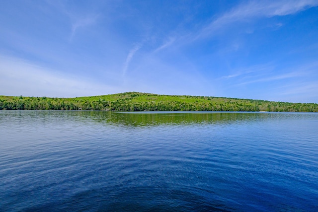 1 Mayflower Way, Norway, ME 04268 - water view featuring a heavily wooded area