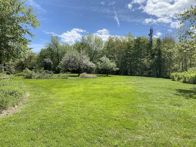 12 Old Rte 1, Searsport, ME 04974 - view of green lawn