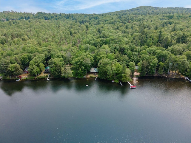 106 Shady Ln, Parsonsfield, ME 04047 - aerial view of a forest and a large body of water