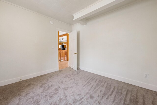 227 Forest Ave, Orono, ME 04473 - spare room featuring carpet flooring, ornamental molding, and baseboards