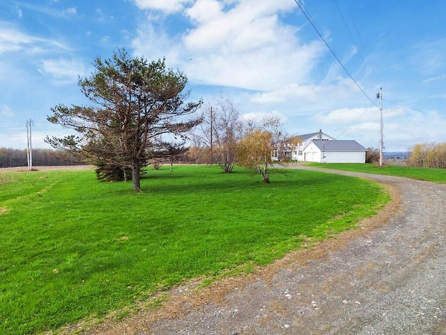 view of dirt / gravel driveway