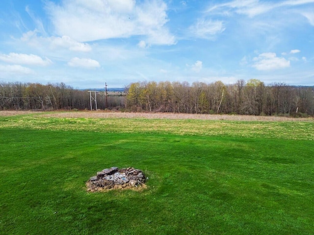 view of green lawn