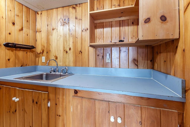 kitchen featuring a sink, open shelves, and wooden walls