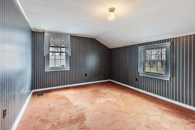 additional living space with plenty of natural light, carpet flooring, a textured ceiling, vaulted ceiling, and baseboards