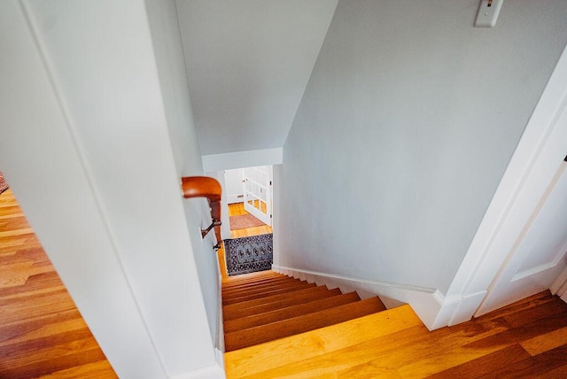 stairs featuring wood finished floors