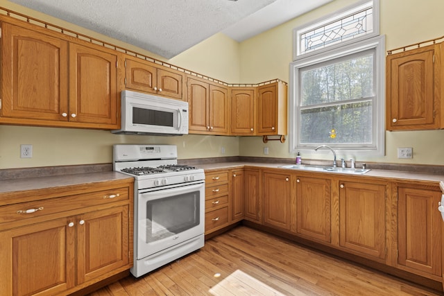 kitchen with white appliances, a sink, brown cabinets, light wood-style flooring, and a textured ceiling