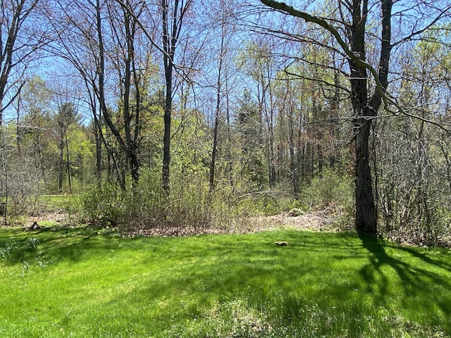 17 Canterbury Rd, Brewer, ME 04412 - view of grassy yard with a forest view