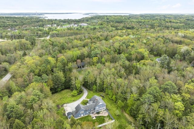 9 Edes Rd, Cumberland, ME 04021 - drone / aerial view of a forest