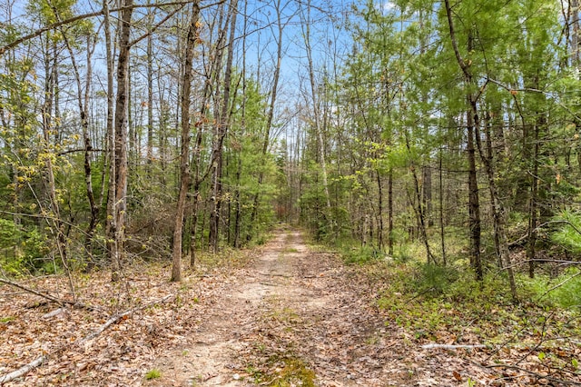 Lot Pequawket Trail, Brownfield, ME 04010