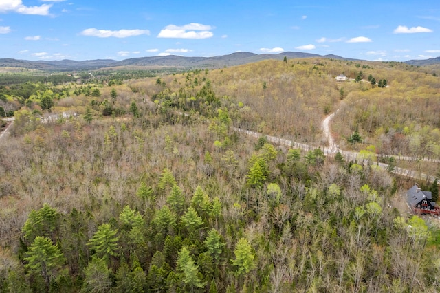 Lot Pequawket Trail, Brownfield, ME 04010