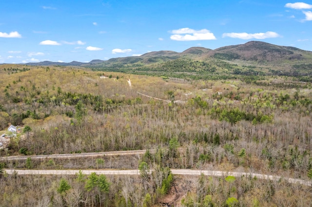 Lot Pequawket Trail, Brownfield, ME 04010