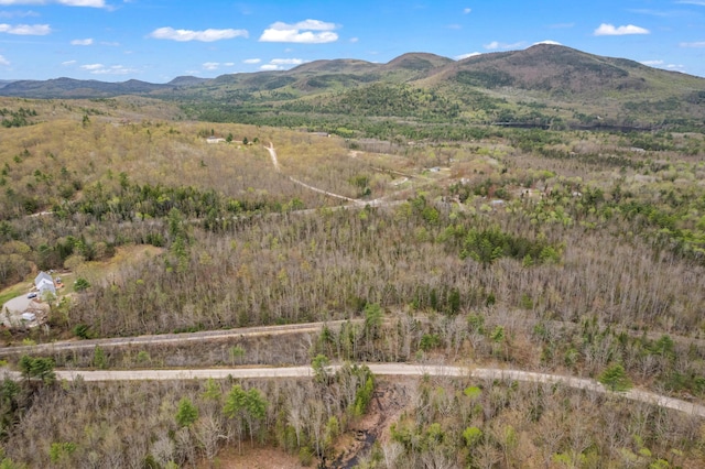 Lot Pequawket Trail, Brownfield, ME 04010