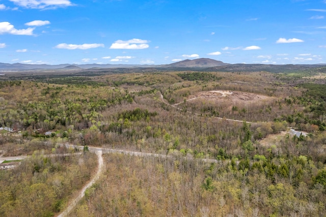 Lot Pequawket Trail, Brownfield, ME 04010