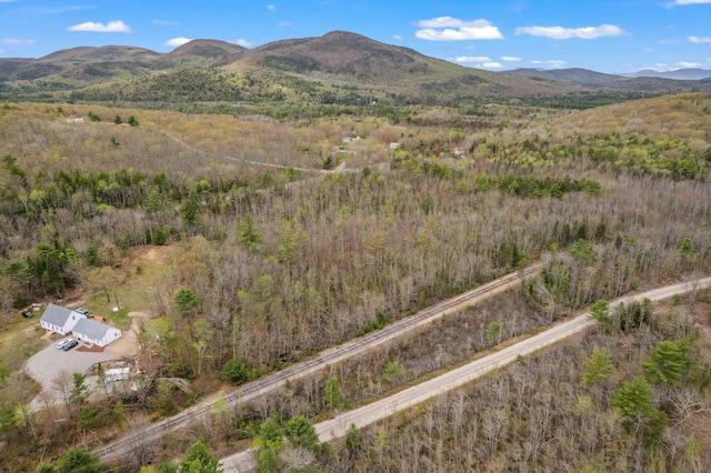 Lot Pequawket Trail, Brownfield, ME 04010