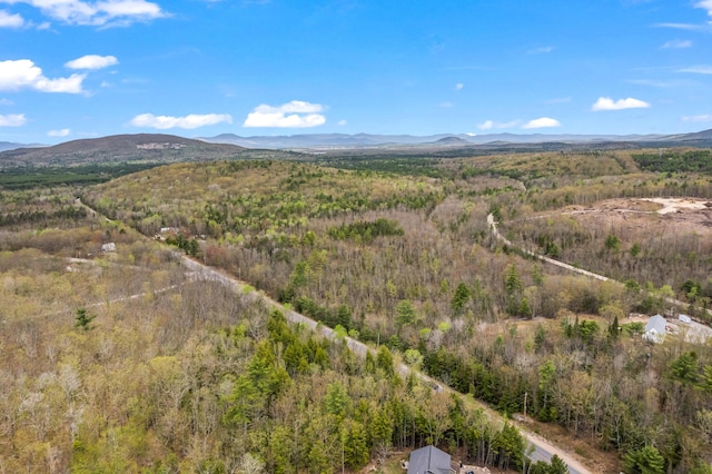 Lot Pequawket Trail, Brownfield, ME 04010