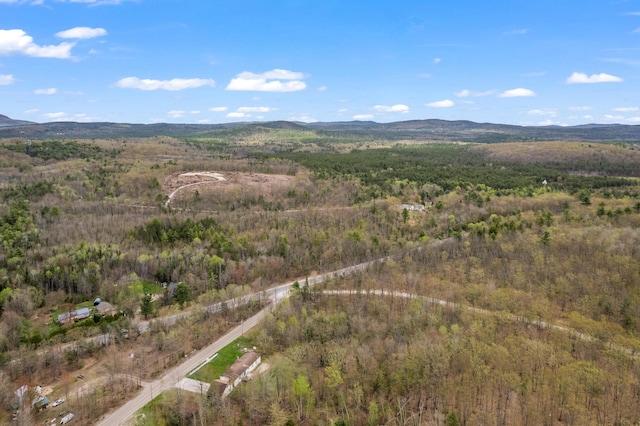 Lot Pequawket Trail, Brownfield, ME 04010