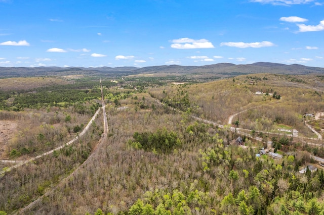 Lot Pequawket Trail, Brownfield, ME 04010