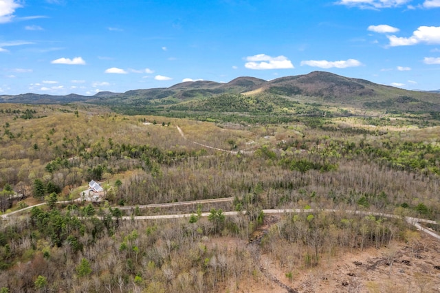 Lot Pequawket Trail, Brownfield, ME 04010