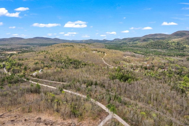 Lot Pequawket Trail, Brownfield, ME 04010