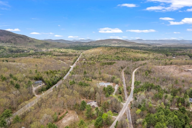 Lot Pequawket Trail, Brownfield, ME 04010