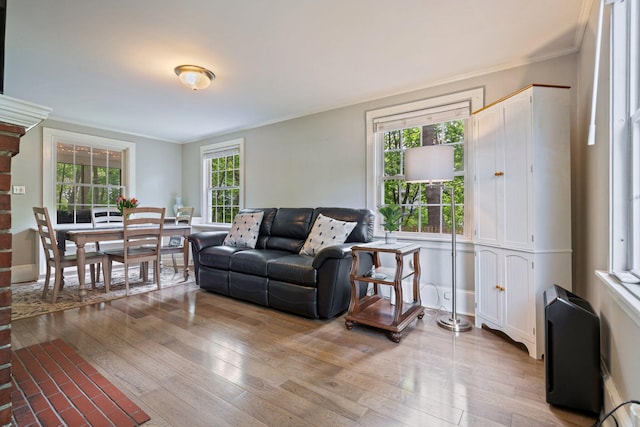 99 Spring St, Saco, ME 04072 - living area featuring light wood-type flooring and ornamental molding