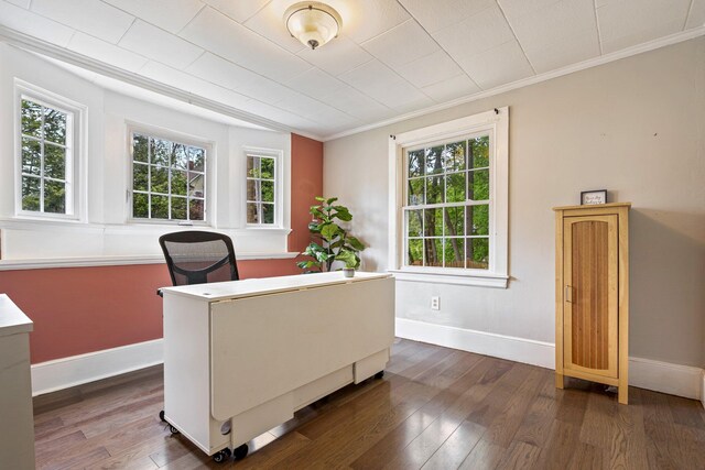 99 Spring St, Saco, ME 04072 - office space with dark wood finished floors, baseboards, and ornamental molding