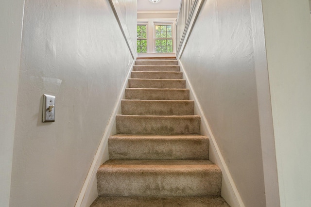 99 Spring St, Saco, ME 04072 - stairs with baseboards and carpet floors