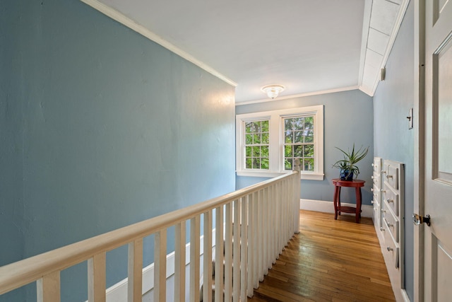 99 Spring St, Saco, ME 04072 - hallway featuring crown molding, hardwood / wood-style flooring, and baseboards
