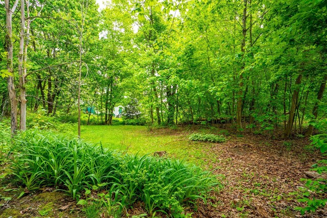99 Spring St, Saco, ME 04072 - view of woods