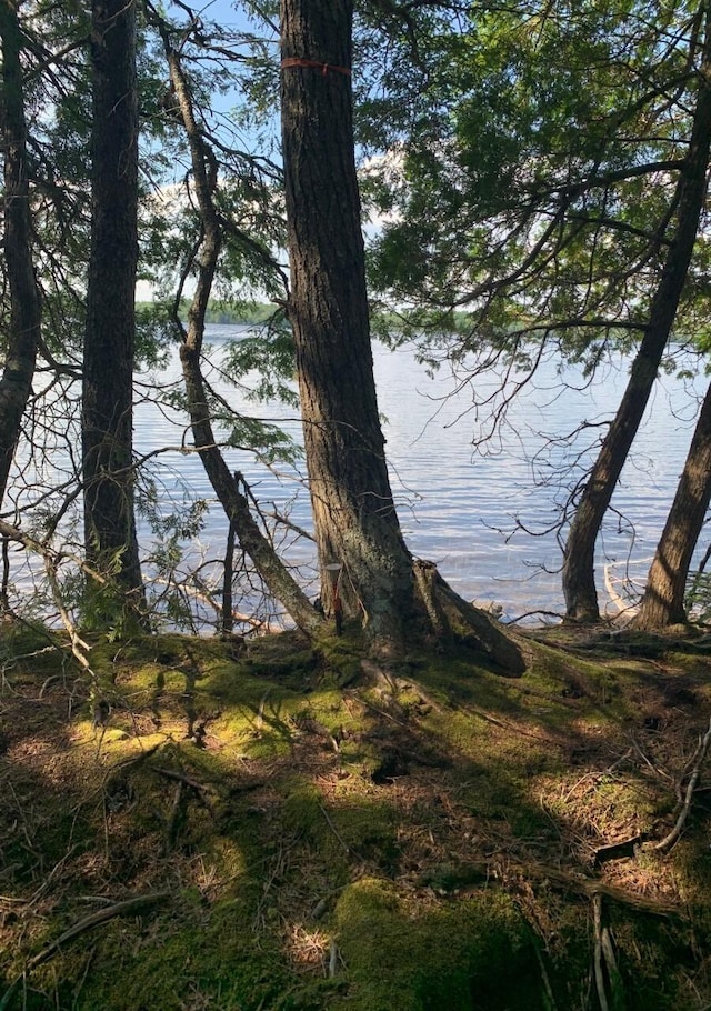 LOT3 Crowe Ln, Princeton, ME 04668 - photo 2