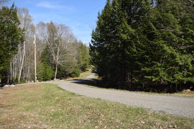 LOT3 Crowe Ln, Princeton, ME 04668 - photo 3