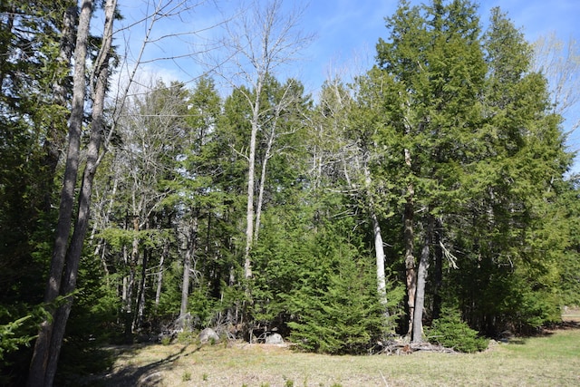 LOT3 Crowe Ln, Princeton, ME 04668 - photo 7