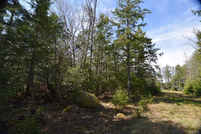 LOT3 Crowe Ln, Princeton, ME 04668 - photo 8
