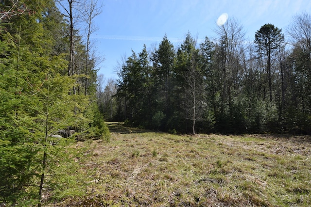 LOT3 Crowe Ln, Princeton, ME 04668 - photo 9