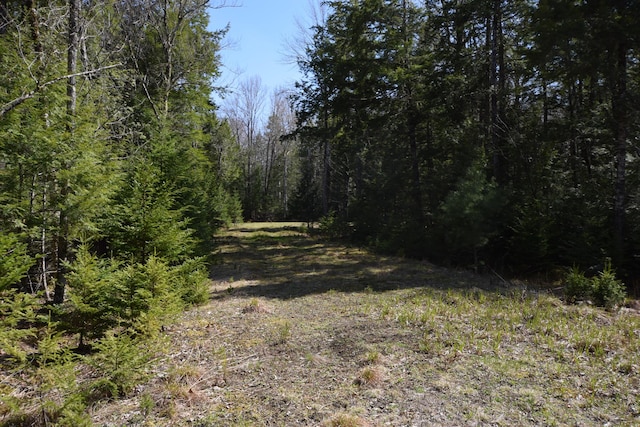 LOT3 Crowe Ln, Princeton, ME 04668 - photo 10