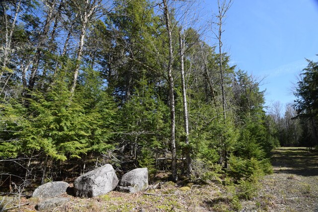 LOT3 Crowe Ln, Princeton, ME 04668 - photo 11