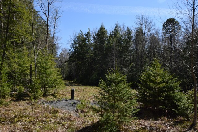 LOT3 Crowe Ln, Princeton, ME 04668 - photo 14