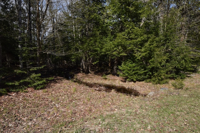 LOT3 Crowe Ln, Princeton, ME 04668 - photo 16