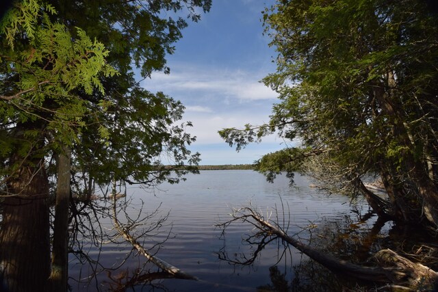 LOT3 Crowe Ln, Princeton, ME 04668 - photo 19